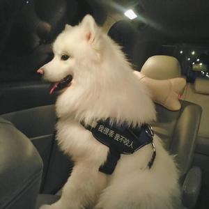 白鹿被强❌喷水羞羞漫画
